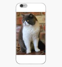 Vinilo o funda para iPhone César