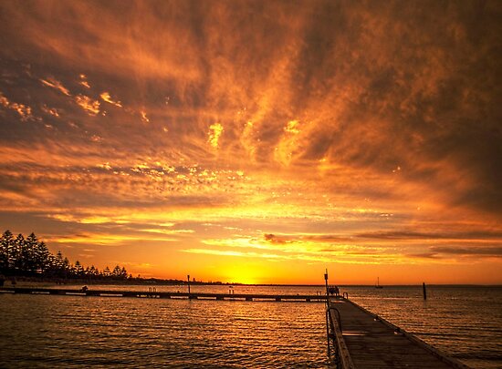 "Sunset Halo" Posters by JuliaKHarwood | Redbubble