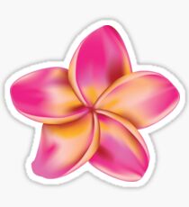 Plumeria flower Sticker
