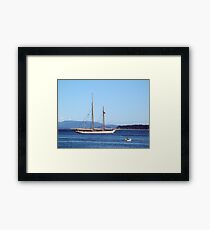 Visitor Framed Print