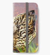 Portrait of a Duck iPhone Wallet/Case/Skin