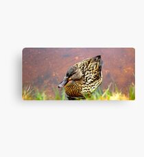 Portrait of a Duck Canvas Print