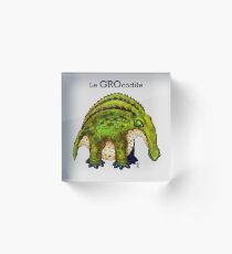 Le Grocodile Bloc acrylique