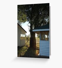 Bottle tree, Tomoo Station, QLD Greeting Card