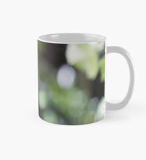 Nuthatch - Sitta europaea Mug