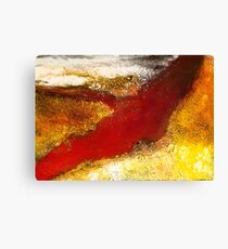 MRDR Canvas Print