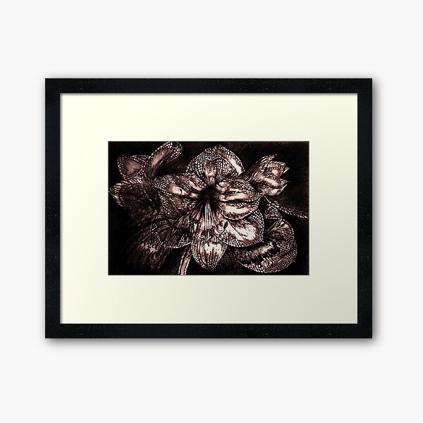 Iron Butterfly - Violet Framed Art Print