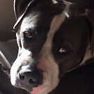 « Old Hollywood Glamour » par worldwidewebb