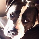 « Starlette » par worldwidewebb