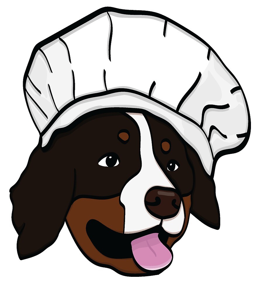 bernese mountain dog hat