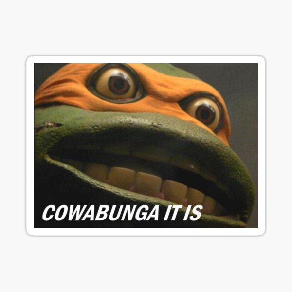 tmnt cowabunga carl