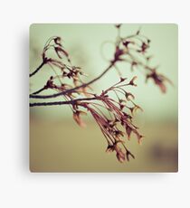 Firefly Canvas Print