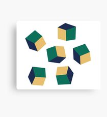 Optical Cube Canvas Print
