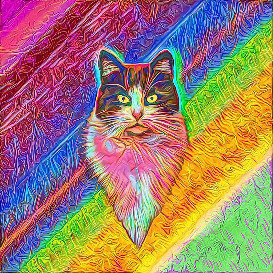 Abstract cat