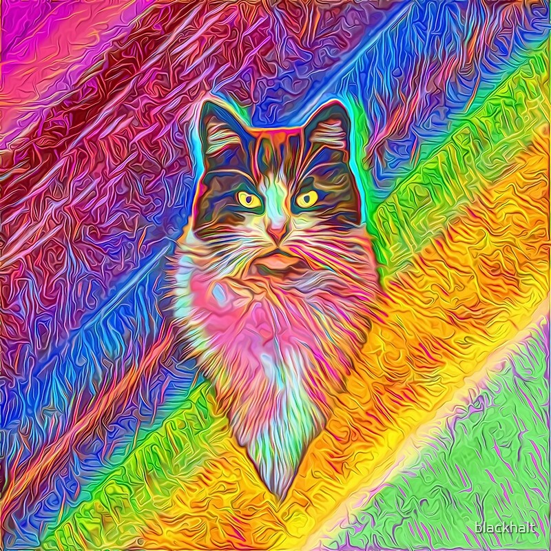 "Abstract cat" by blackhalt | Redbubble