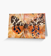 Orange butterfly and blue geometric explosion Greeting Card