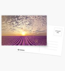 Sunset over a summer lavender field in Provence, France Postcards