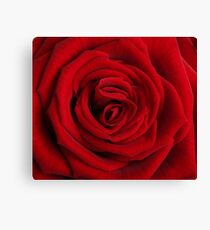 Challenge Winner Canvas Print