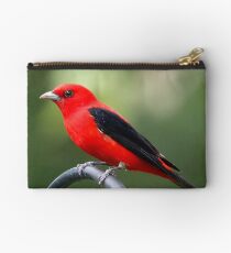 Scarlet Tanager Studio Pouch