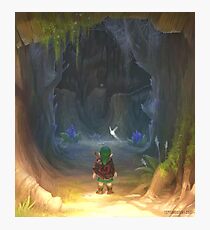 Lámina fotográfica La entrada de la gran mazmorra del árbol Deku