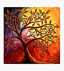 The Tree of Life Photographic Print