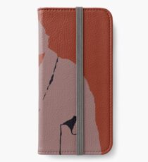 The Dude iPhone Wallet/Case/Skin
