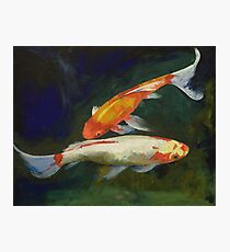 Feng Shui Koi Fish Photographic Print