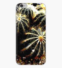 Prickly Cacti iPhone Case