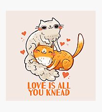 Cute Cats - Liebe ist alles, was Sie kneten Fotodruck