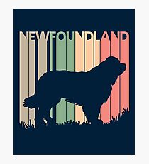 Newfoundland Dog Silhouette Photographic Print