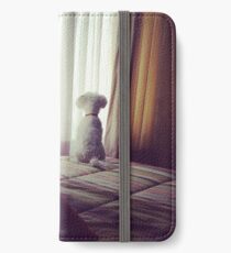 Sheldon iPhone Wallet/Case/Skin