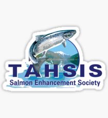 TSES logo Sticker