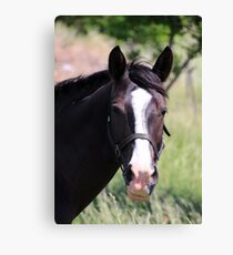 Hello There :) Canvas Print