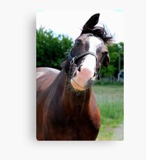 Shake it :) Canvas Print