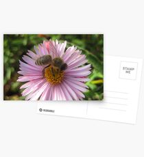 The Bee-autiful Flower. Postcards