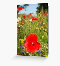 Wild Fields Greeting Card