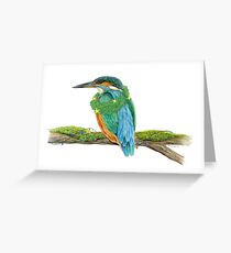 Holiday Kingfisher Greeting Card