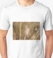 macro photography, grass family, nature, summer, seed, outdoors, dandelion, bright, grass, growth, sharp, horizontal, close-up, no people, plant, day Unisex T-Shirt
