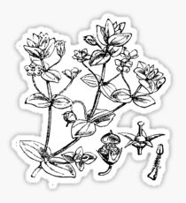 Vintage Flower- herbs Sticker