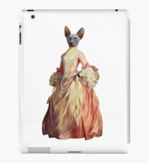 Miss Kitty iPad Case/Skin