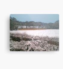 Snow-covered Metal Print