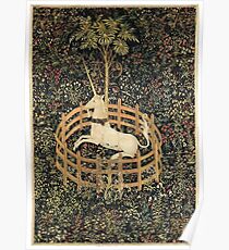 Unicorn in Captivity Poster