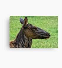 Lovely Lady Canvas Print