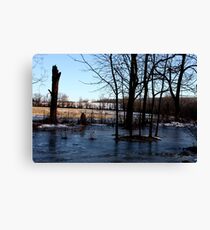 Icy Landscape Of A Yard! 09 Canvas Print