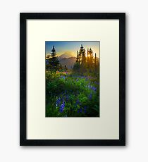 Mount Rainier Sunburst Framed Print