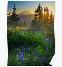 Mount Rainier Sunburst Poster