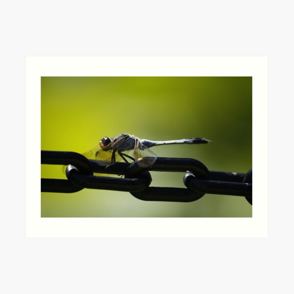 Pretty Boy Art Print