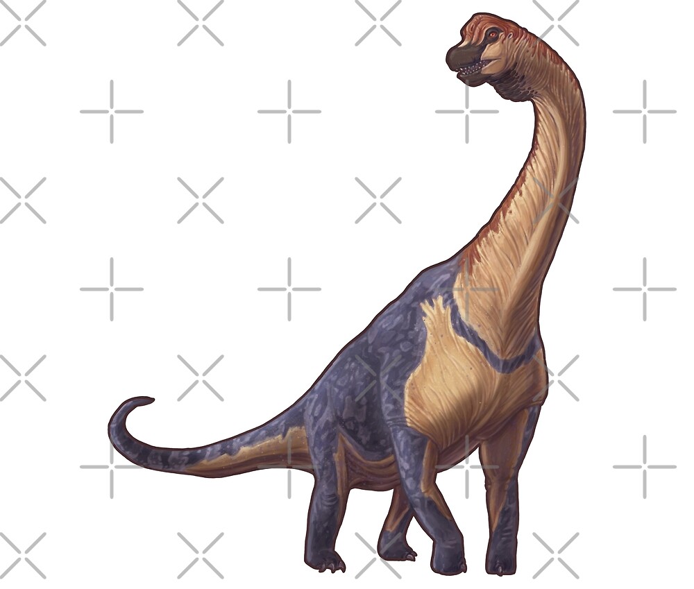 "Brachiosaurus altithorax" by Sean Closson | Redbubble
