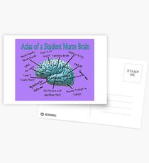 Nursing Student Humor Brain Postcards