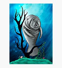 Precious Manatee Photographic Print